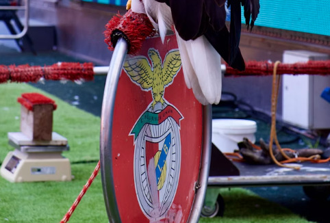 Benfica a její fanouškovské tradice Cesta k pevným přátelstvím